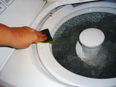 Scrub inside the washer